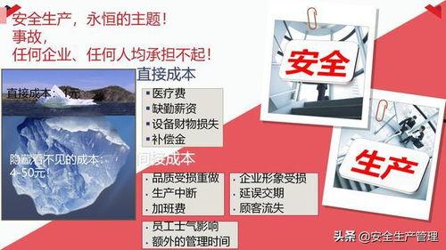 国产29页,揭秘我国科技发展的新篇章  第2张